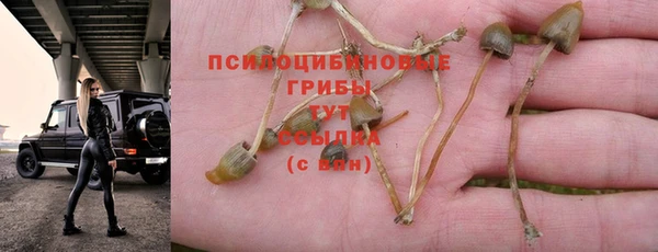 тгк Алексин