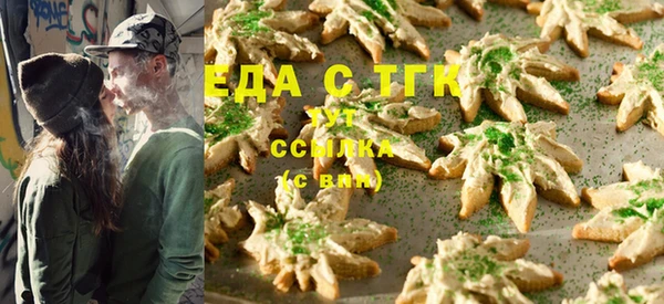 ECSTASY Алзамай