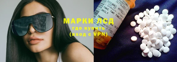 ECSTASY Алзамай