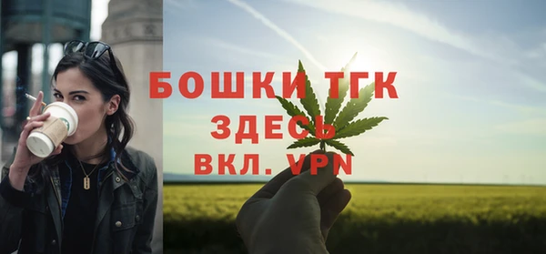 тгк Алексин