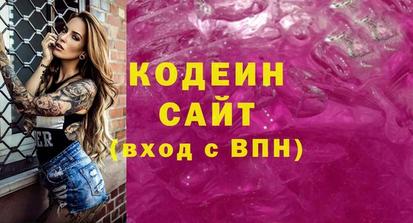 ECSTASY Алзамай