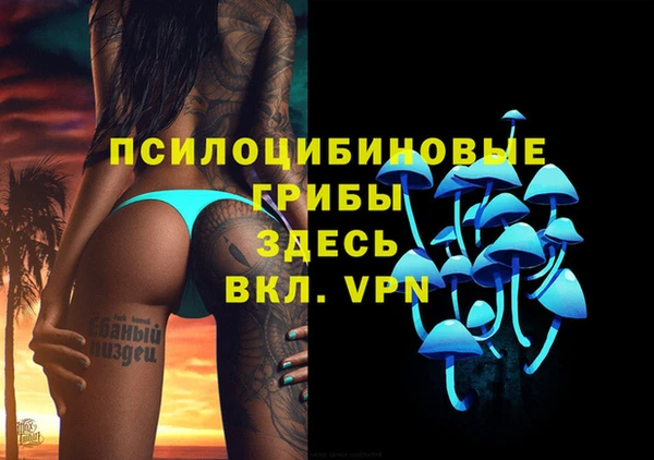 ECSTASY Алзамай