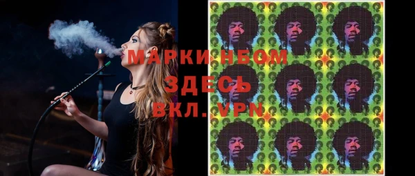 ECSTASY Алзамай