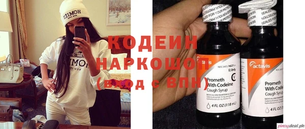 ECSTASY Алзамай