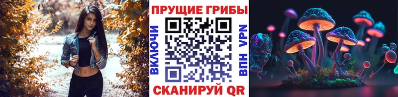 Галлюциногенные грибы GOLDEN TEACHER  купить наркоту  Чадан 